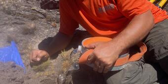 Color photograph of scientist in field