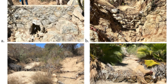 Four photos of natural infrastructure in dryland streams