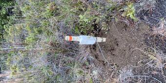Color photograph of instrument in field