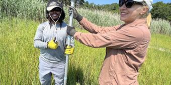 Two people collecting a sediment core in a salt marsh