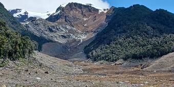 snowcapped mountain peak surrounded by tree-covered hillslopes