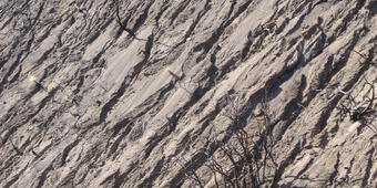 Steep hillslope with rills with sparse burned trees as the only visible remnants of vegetation