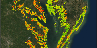 Chesapeake Bay coastal plain