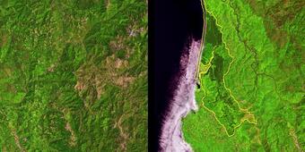 Satellite image showing logging effects