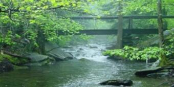 stream of fast moving water running over rocks and boulders through leafed out trees under footbridge