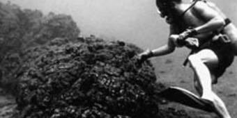 Diver examines elongate pillowed flow lobe off the coast of Kīlauea...