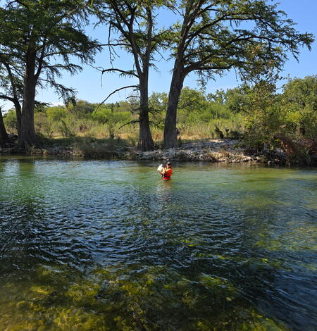 woman in black hat and orange shirt wading in Frio River while holding a large water sample