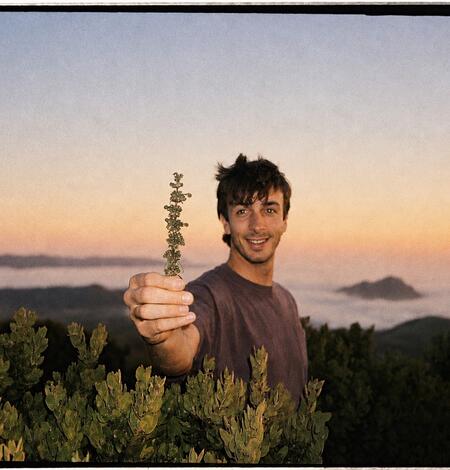 Man holding a plant