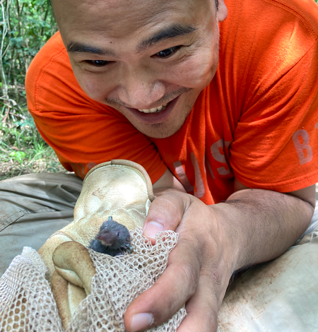 Person wearing an orange shirt leans forward over a shrew held in a gloved hand.