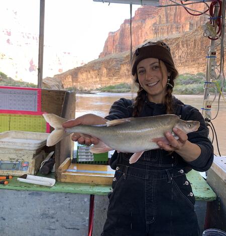 A woman on a research boat in the Colorado River holds up a sucker that the science team is measuring