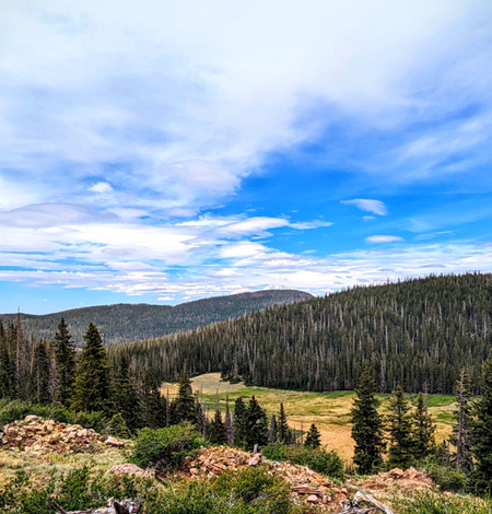 A forested mountain range stretches into the distance, with blue sky and clouds overhead