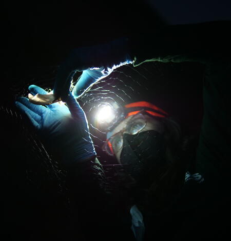 Staff Profile Photo of Bethany Straw