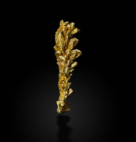 Image shows a sample of gold against a black background