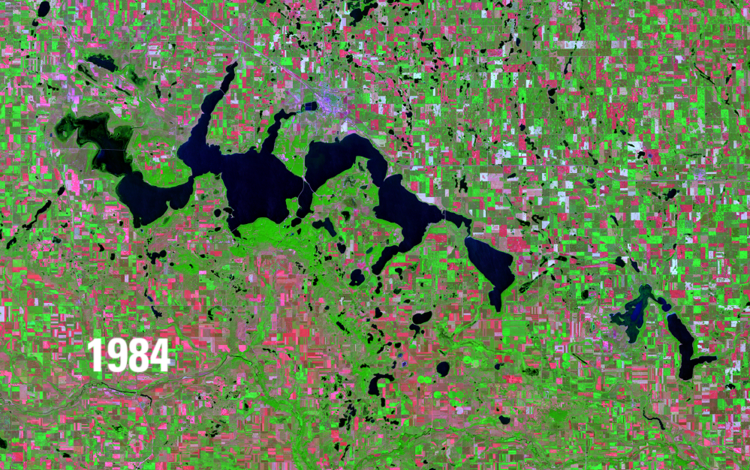 Satellite image showing water bodies in deep blue, green vegetation and pink barren areas