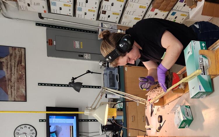 Interns working with sediment cores in a laboratory