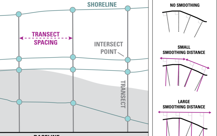 diagram showing transect lines on a shoreline