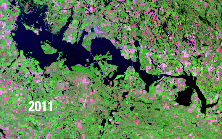 Satellite image showing water bodies in deep blue, green vegetation and pink barren areas