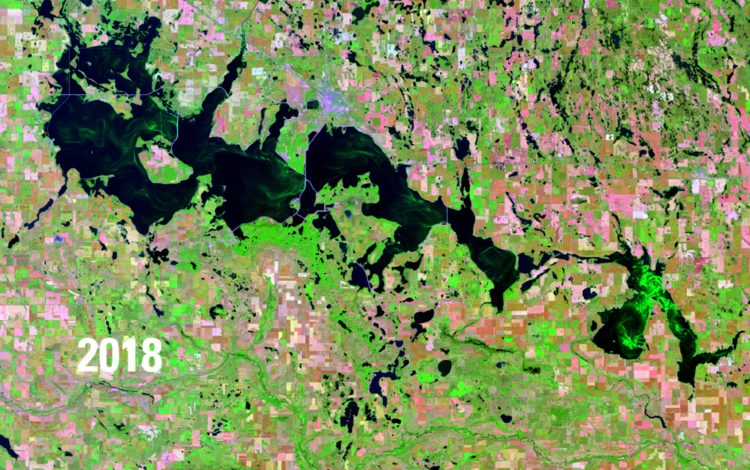 Satellite image showing water bodies in deep blue, green vegetation and pink barren areas