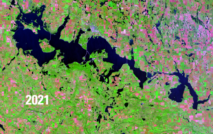 Satellite image showing water bodies in deep blue, green vegetation and pink barren areas