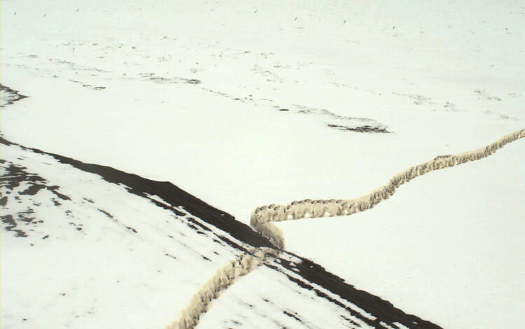 A composite of 10 minutes of 2Hz images taken by a coastal camera at Nuvuk, Alaska, showing a polar bear on sea ice