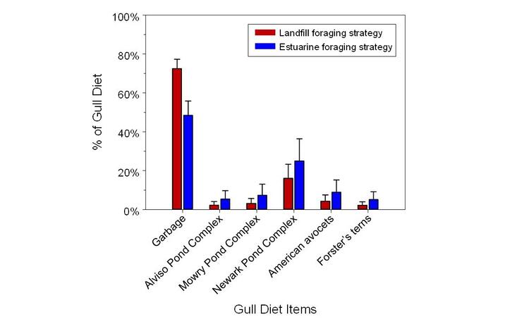 WERC California Gull Diet Graph