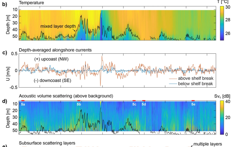 Chart showing time-series from the entire 132-day deployment off the southwest Puerto Rico coast