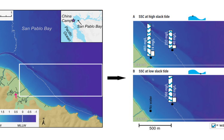 Maps showing China Camp Marsh study area with inset showing suspended sediment measurements