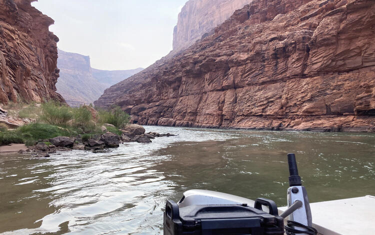 A motorboat travels downstream on the Colorado River with red canyon walls alongside the river in Grand Canyon