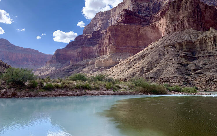 Water at a confluence of two rivers mix, one light blue, the other brown with sediment, flowing through Grand Canyon