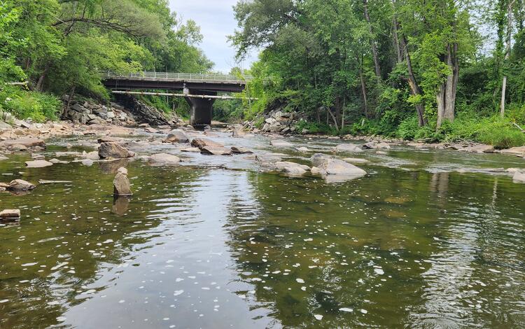 A river bed with low flows and exposed rocks during the summer. 