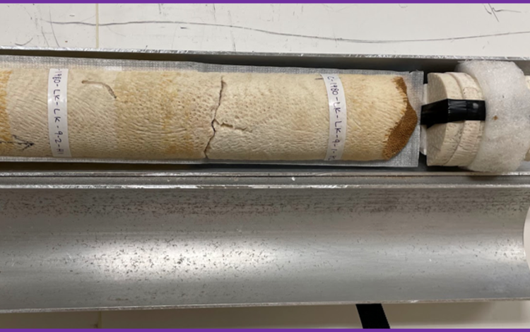 Coral core sample in aluminum tube for scanning