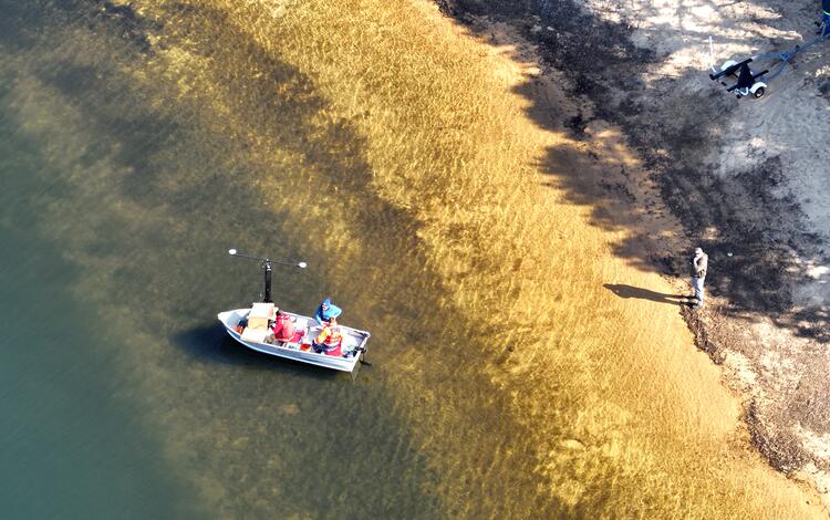 aerial view of small boat near pond shoreline