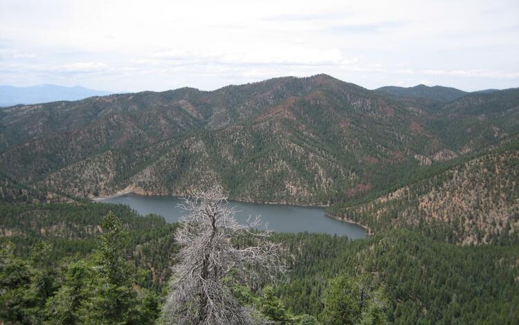 A view of a reservoir surrounded by forested mountains