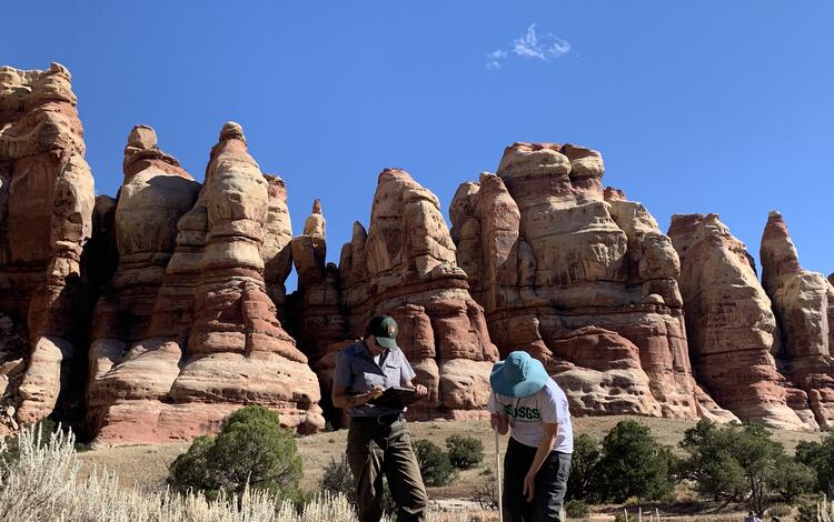 USGS and NPS staff make vegetation observations