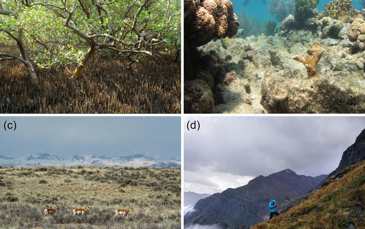 Photos of coastal wetland, coral reef, dryland, and alpine ecosystems