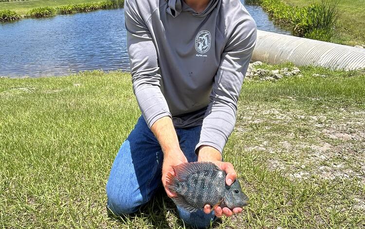 a man is shown holding a fish in front of a small body of water and a blue sky
