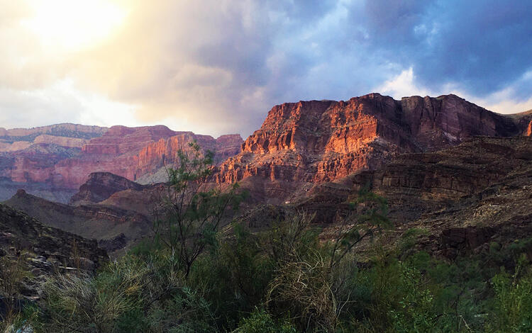 Sunshine mixes with sunset colors and brightens the red canyon walls in Grand Canyon, with riparian trees in the foreground