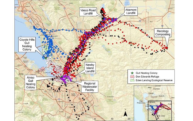 WERC Gull Abatement Map