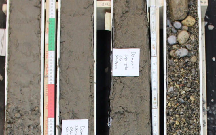 This image of a drill core shows four sections of core in casings with sediment ranging in size from gravel to silt.