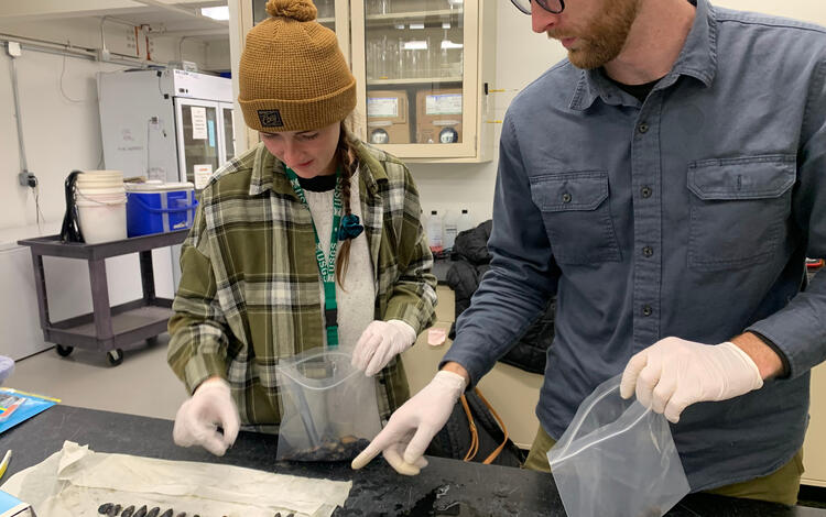 Two scientists in a lab examining different sized mussel shells.