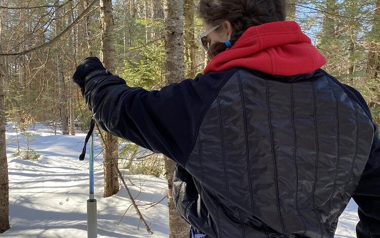 Pulling up a blue tube out of a white PVC pipe in the ground in the winter.