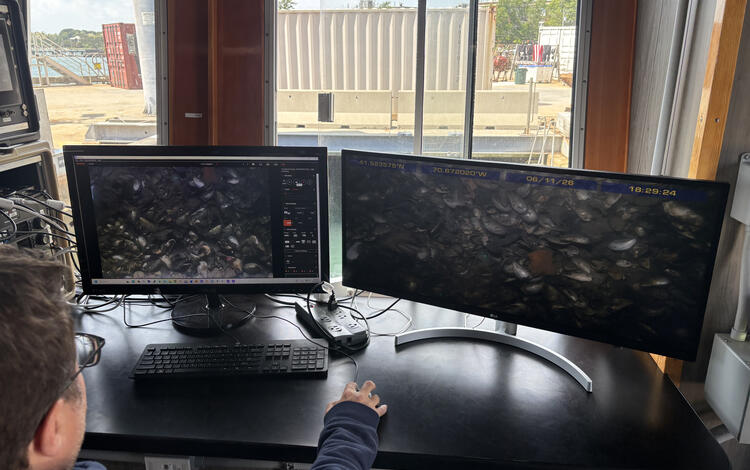 Two computer screens showing the seafloor