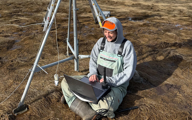 Scientist doing fieldwork in a coastal wetland