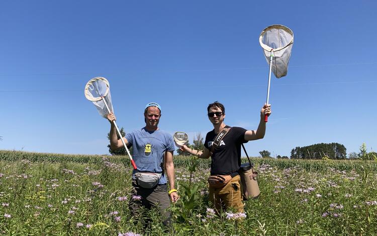 two people in field gear stand in a field of flowers, holding up insect nets 