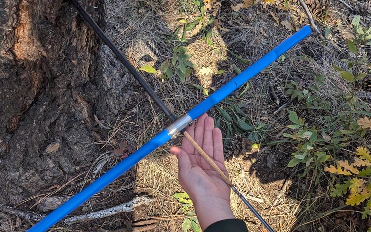 a hand holds an X-shaped tool, with one end of the tool stuck into a tree, leaves and grasses on the ground