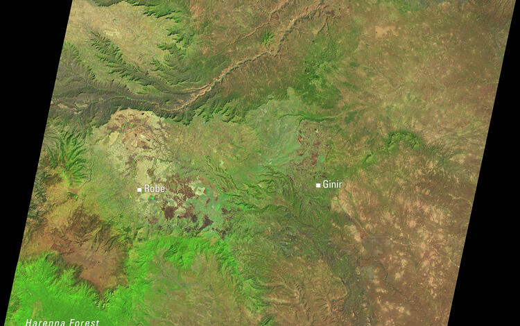 Satellite image of Ethiopia’s central highlands showing Robe, Ginir, and the Harenna Forest.
