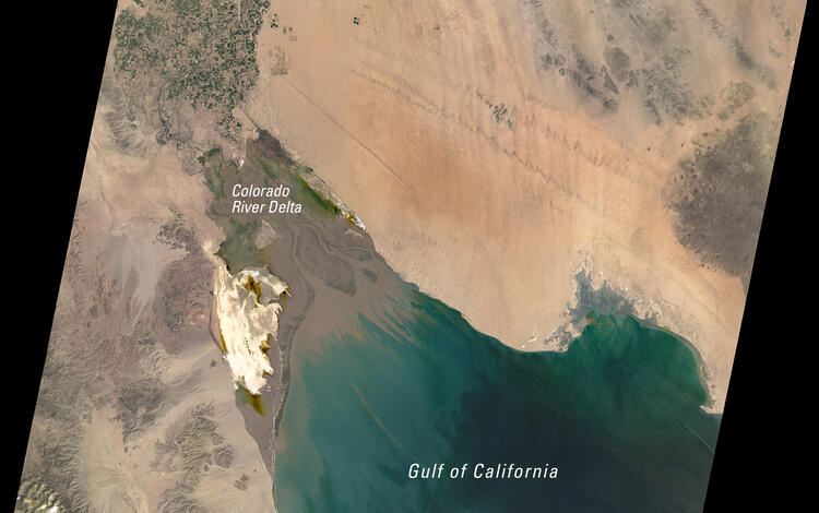 Satellite image of the Colorado River delta and the Gulf of California near San Luis Río Colorado, Mexico.