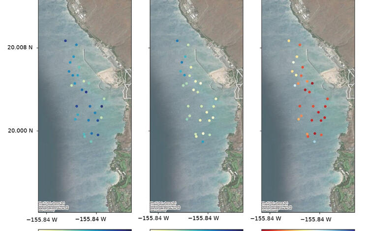Maps of spatial patterns of live coral cover and change by site at Puʻukoholā Heiau National Historic Site