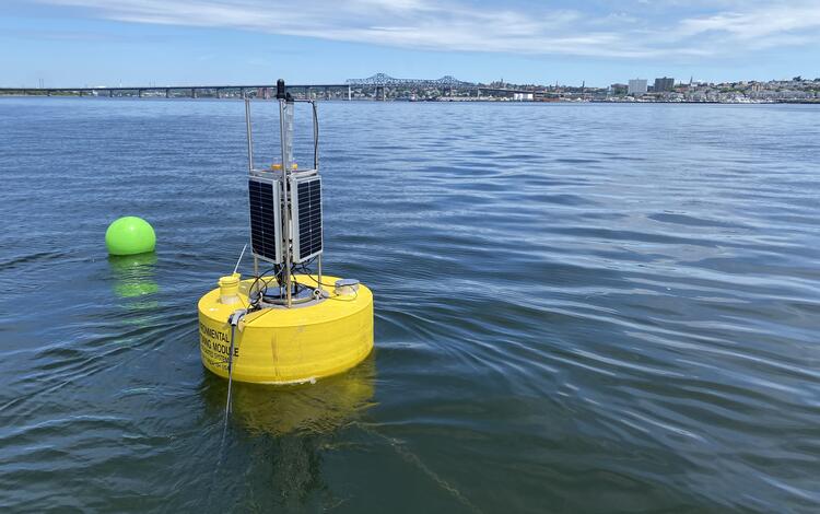 A yellow buoy holding water quality equipment floating in a bay.
