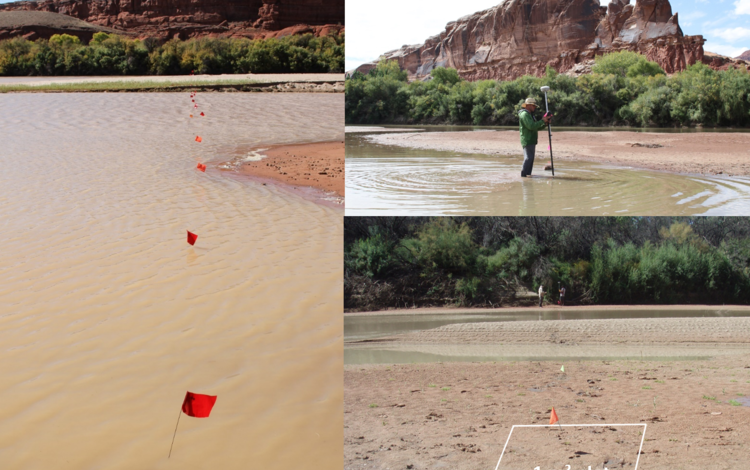 three images, one showing flags in a river, one showing a man with instrument in a river, and another showing a plot